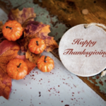 Finding Gratitude This Thanksgiving Season